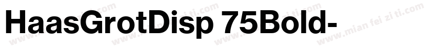 HaasGrotDisp 75Bold字体转换
